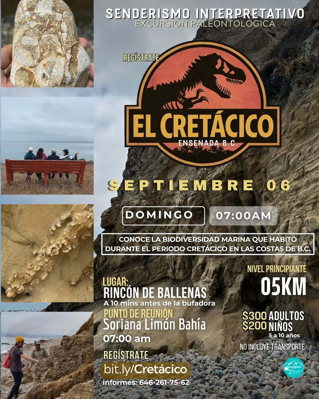 Excursión Paleontológica; El Cretácico en Ensenada 🦖