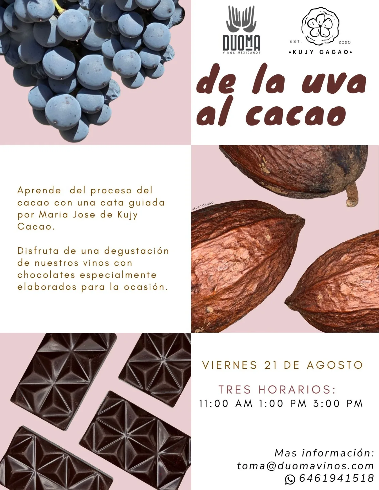 DE LA UVA AL CACAO
