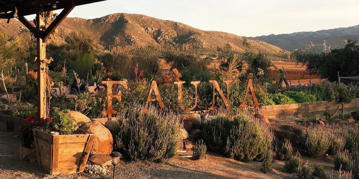 Restaurante Fauna
